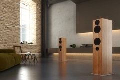 Doacoustics